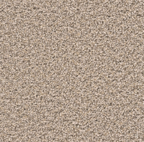 Dream Weaver Carpet Broadcast Plus Almond