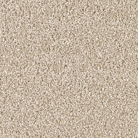 Dream Weaver Carpet East Hampton Blush - Discount Pricing ...